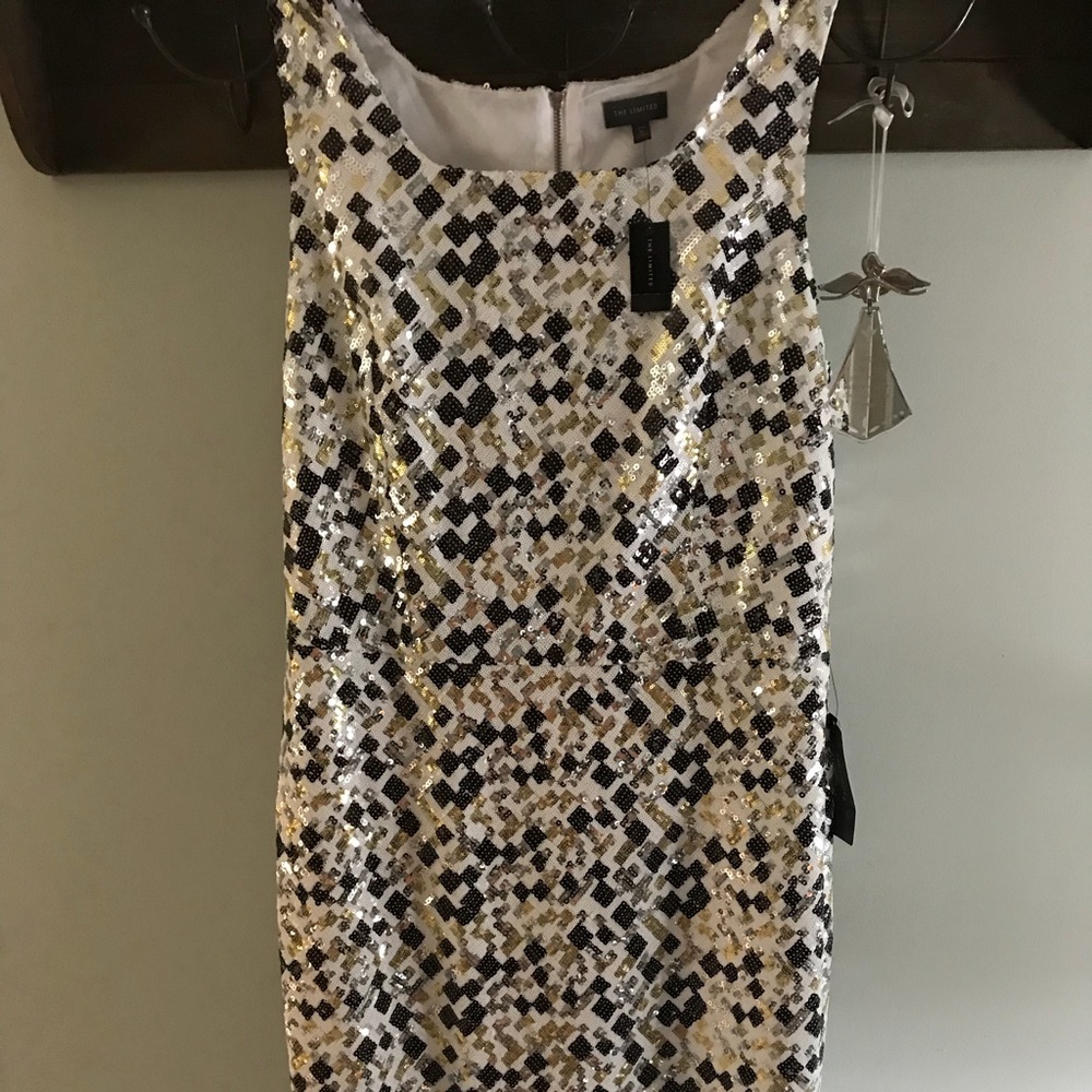 Limited size 16T dress